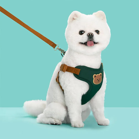 Outing Dog Leash Pet Strap