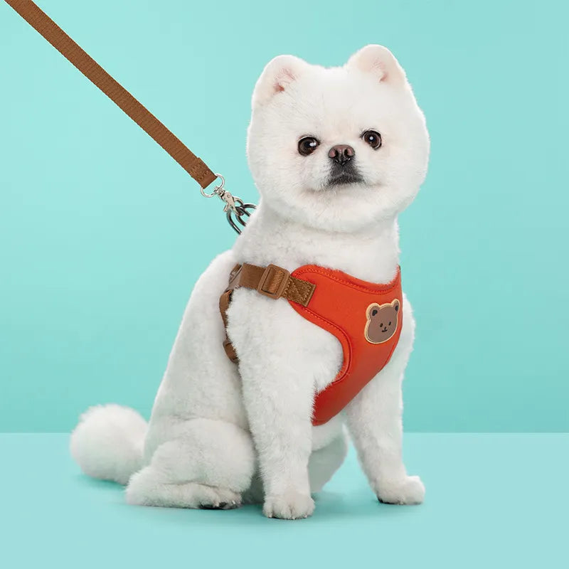 Outing Dog Leash Pet Strap