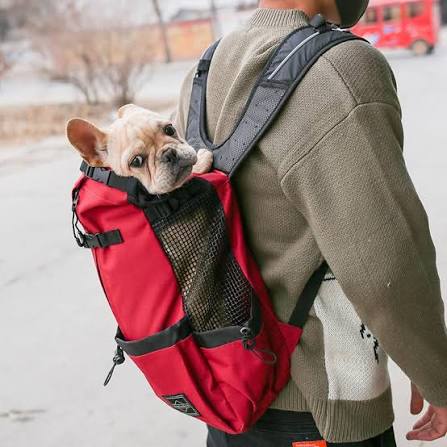 Pet Dog Carrier Bag Carrier For Dogs Backpack Out Double Shoulder Portable Travel Backpack Outdoor Dog Carrier Bag Travel